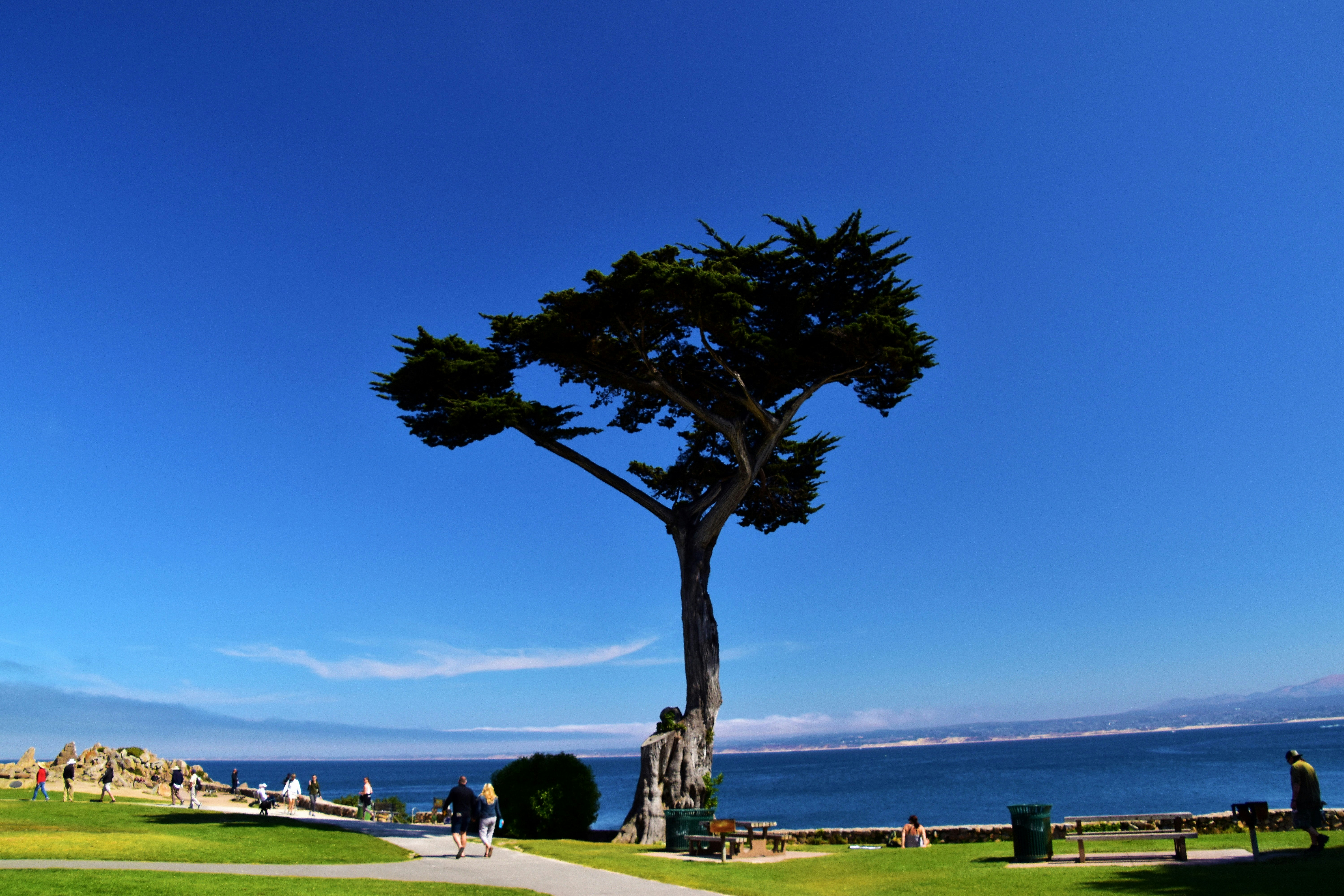 Pacific Grove Inn