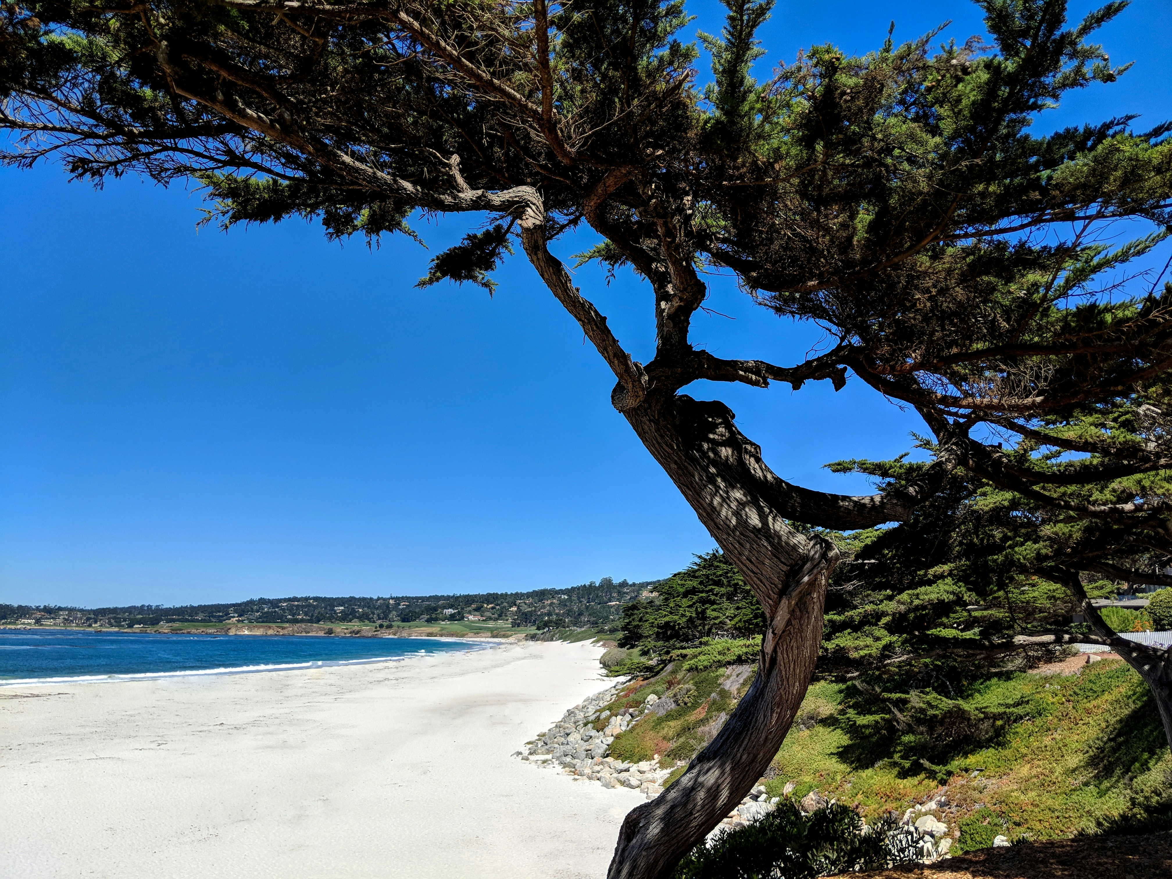 Carmel Valley